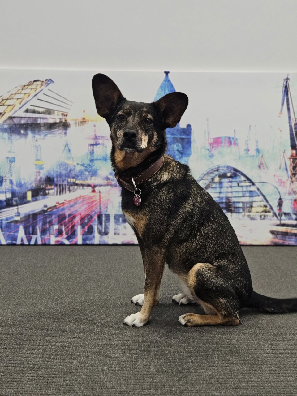 Lucy